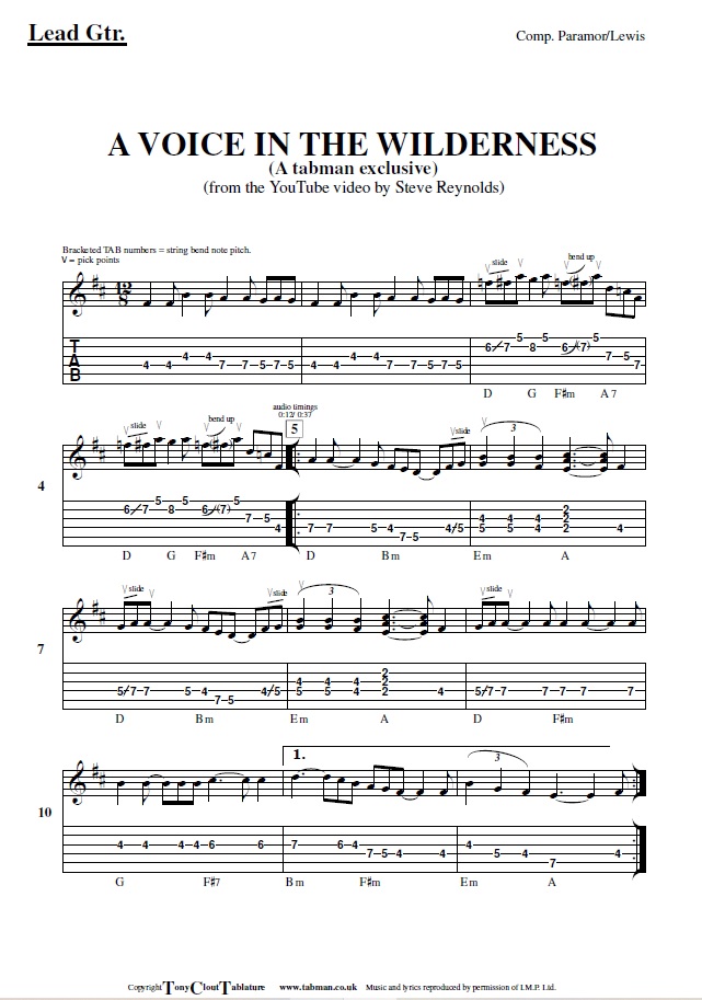 A Voice in the Wilderness (Steve Reynolds) - Image 2